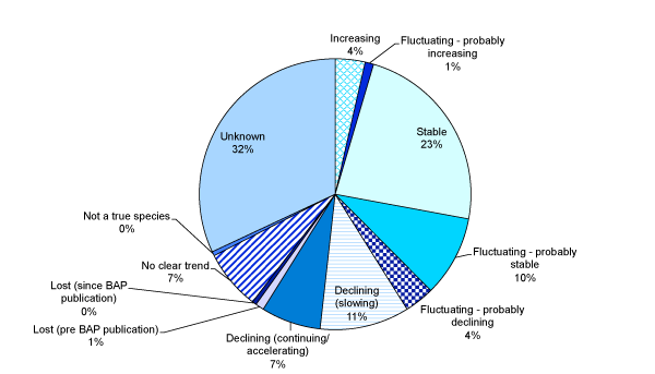 Status of UK Biodiversity Action Plan (BAP) Species in Scotland: 2008