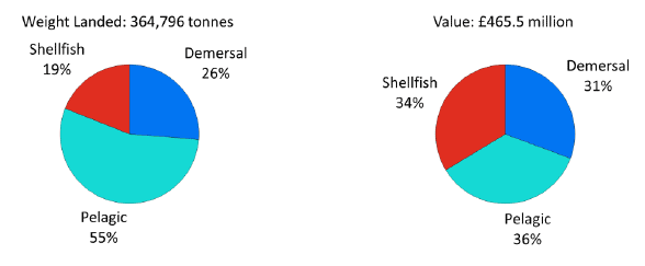 Chart 1.2 Quantity and value of landings by Scottish vessels; percentage of each species type, 2012.