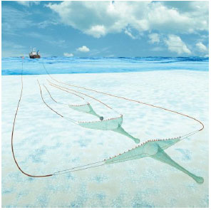 Seining