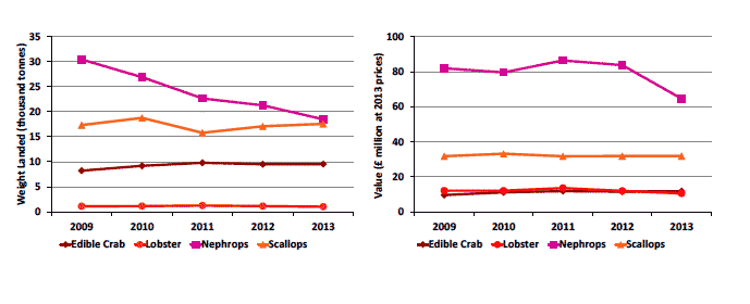 Chart 1.5.c Quantity and value of landings of the key shellfish species by Scottish vessels: 2009 to 2013.