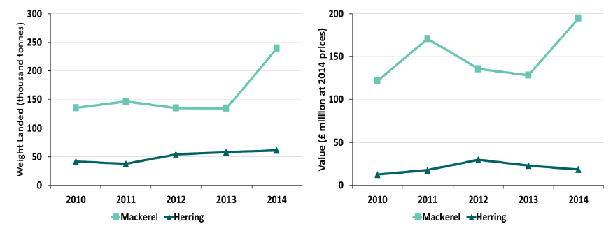 Chart 1.5.b Quantity and value of landings of key pelagic species by Scottish vessels: 2010 to 2014. 