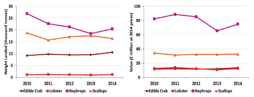 Chart 1.5.c Quantity and value of landings of key shellfish species by Scottish vessels: 2010 to 2014. 