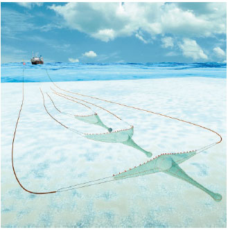 Seining Seining is a method used exclusively for demersal fishing.