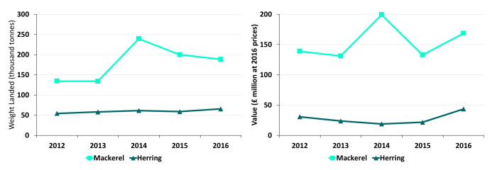 Chart 1.5.b Quantity and value of landings of the key pelagic species by Scottish vessels: 2012 to 2016