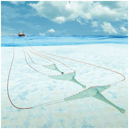Seining