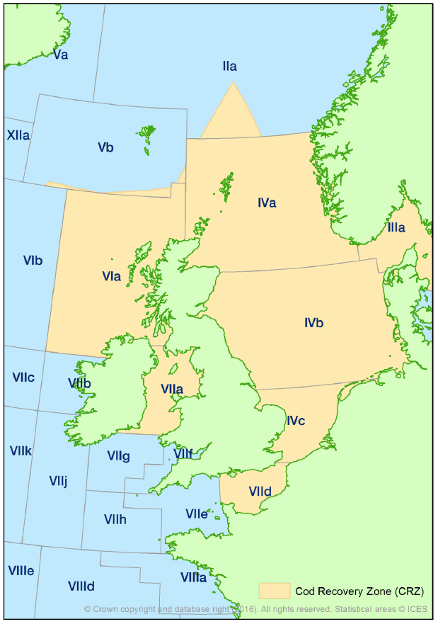 Cod Recovery Zone (CRZ)