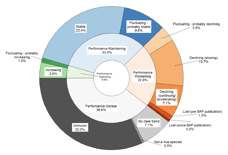 Status of UK Biodiversity Action Plan (BAP) Species in Scotland: 2008