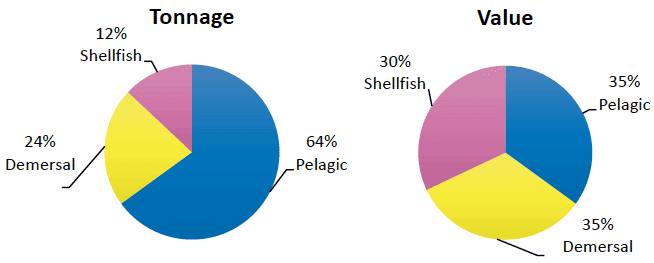 Chart 2. Percentage of Scottish vessels' landings by species type in 2018