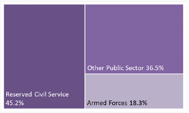 tree map of reserved Public Sector Employment showing relative size of public bodies 