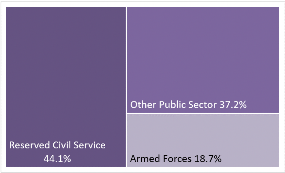 Chart 4. tree map of reserved Public Sector Employment showing relative size of public bodies
