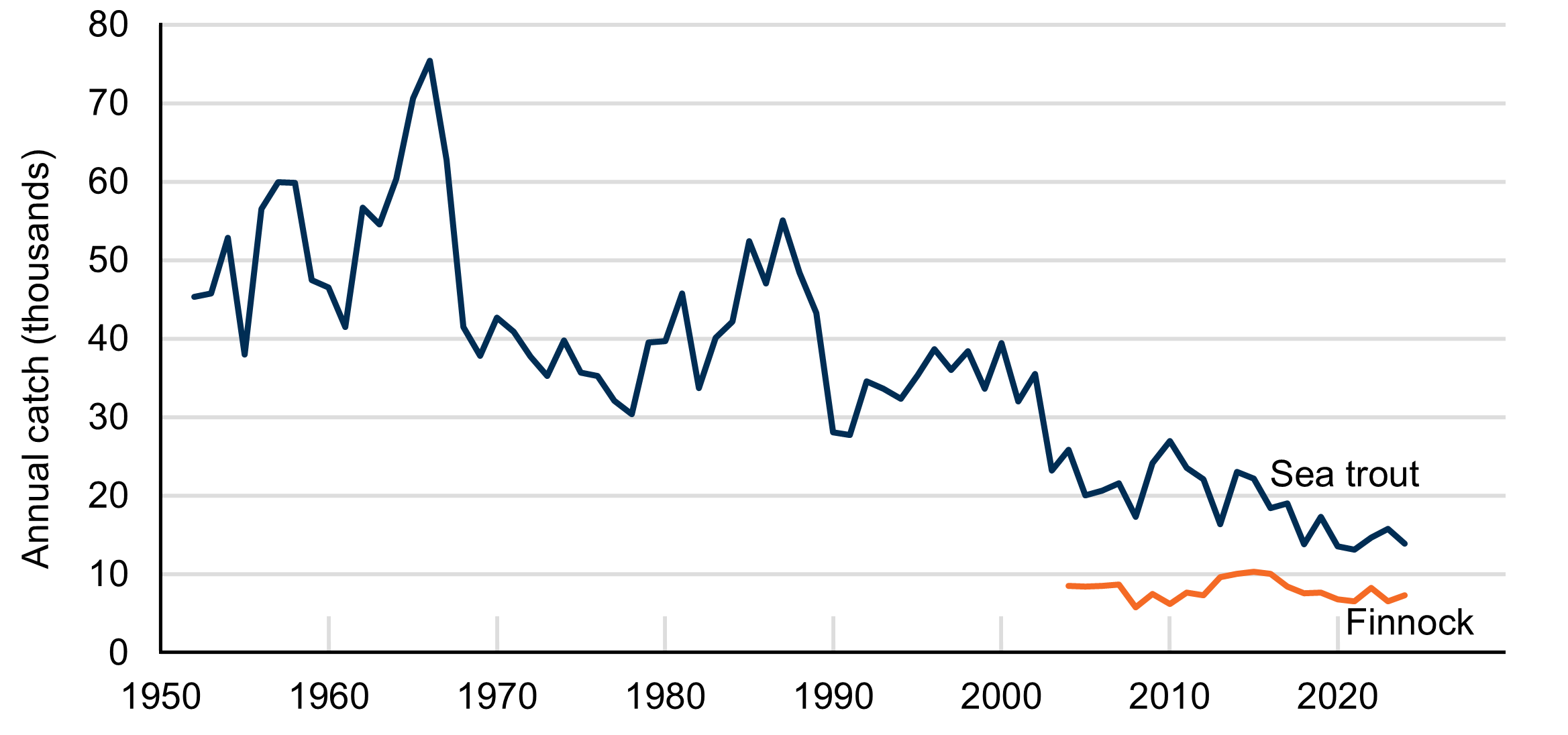 Line chart with two lines showing decreasing sea trout catch since the mid-1960s, and stable finnock catch since 2004.